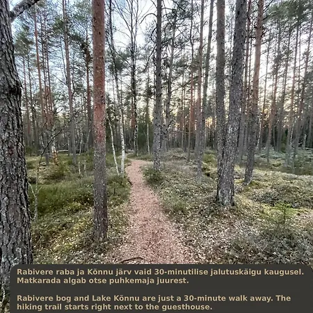 Napu Puhkemaja Сasa de vacaciones