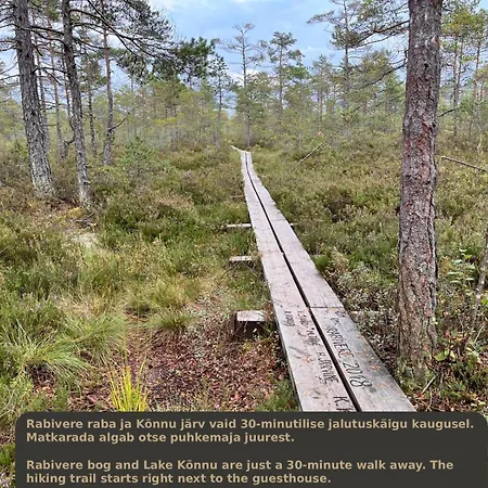 Napu Puhkemaja
