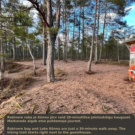 Napu Puhkemaja Rabivere