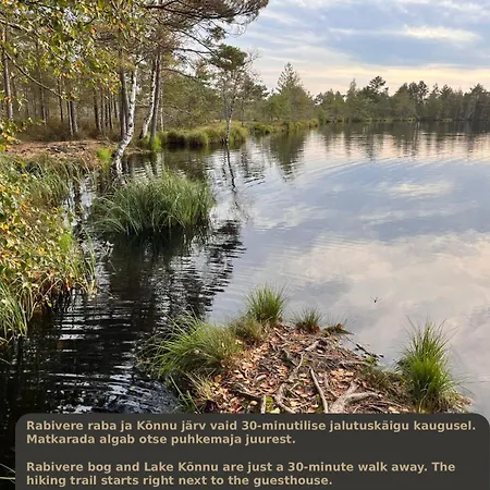 Napu Puhkemaja Rabivere