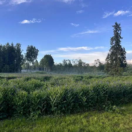 Napu Puhkemaja