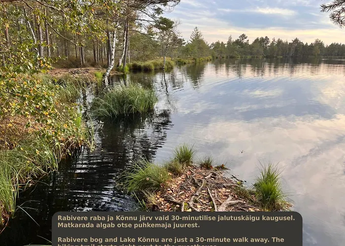 Napu Puhkemaja Rabivere